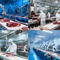 Slaughterhouse Solutions that Raise Industry Standards