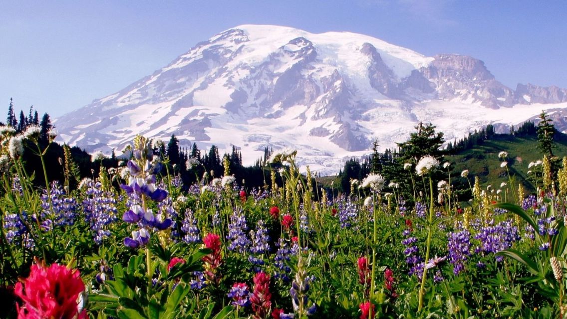 Hiking and Camping Through the National Parks of the Pacific Northwest 20