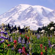 Hiking and Camping Through the National Parks of the Pacific Northwest