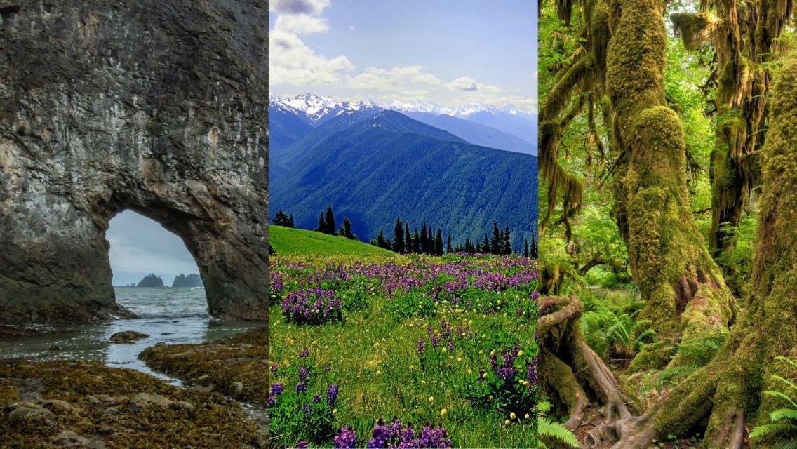 Hiking and Camping Through the National Parks of the Pacific Northwest 19