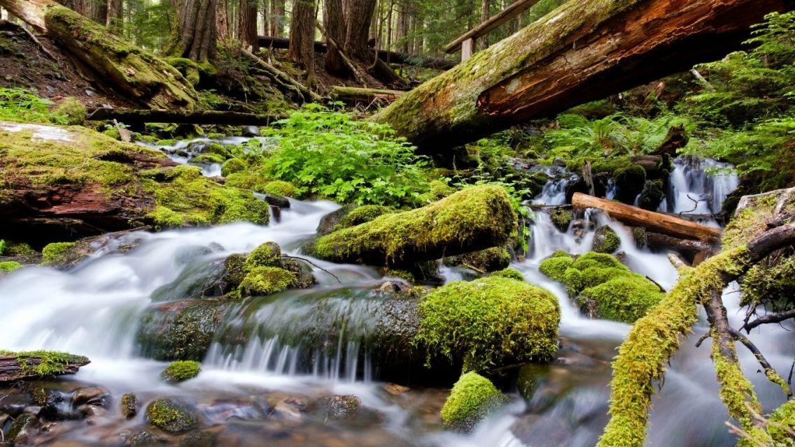 Hiking and Camping Through the National Parks of the Pacific Northwest 15