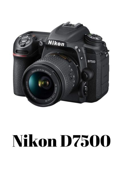 Rekomendasi Kamera DSLR Terbaik yang Masih Layak Dibeli, Lengkap Spek dan Harganya! 11 hipwee-Kamera DSLR terbaik Nikon D7500 Photo by pinterest.com/mappleartstudio