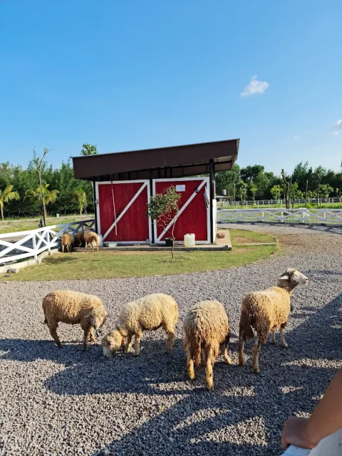 10 Tempat Liburan di Surabaya yang Seru Buat Healing dan Jalan Bareng Orang Tersayang 16 hipwee-Tempat liburan di Surabaya Romokalisari Adventure Land