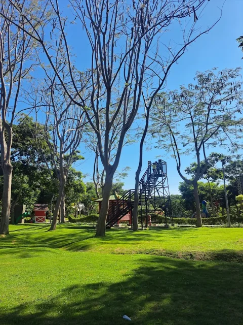 10 Tempat Liburan di Surabaya yang Seru Buat Healing dan Jalan Bareng Orang Tersayang 17 hipwee-Tempat liburan di Surabaya Taman Harmoni dan Hutan Bambu Keputih