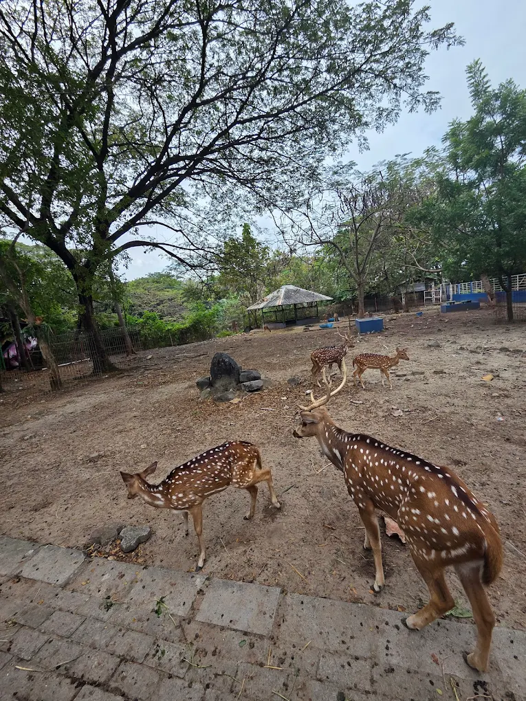 Rekomendasi Tempat Nongkrong di Surabaya yang Murah, Cocok Buat Kantong Anak Muda! 9 hipwee-Tempat nongkrong di Surabaya yang murah meriah Kebun Bibit Wonorejo