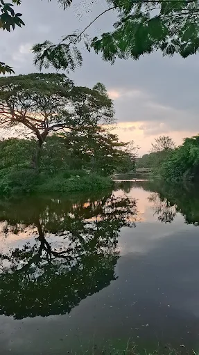 7 Tempat Wisata di Solo yang Instagramable, Bikin Feed Makin Estetik dan Nggak Membosankan 10 hipwee-Tempat wisata di Solo yang instagramable Solo Safari