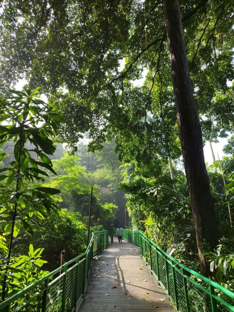 10 Tempat Wisata Gratis di Bandung yang Wajib Kamu Kunjungi 15 hipwee-Tempat wisata gratis di Bandung Forest walk Babakan Siliwangi