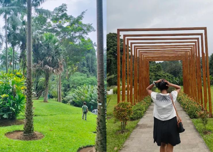 7 Tempat Wisata di Bogor yang Murah dan Hits, 100% Worth It! 9 kebun raya bogor photos