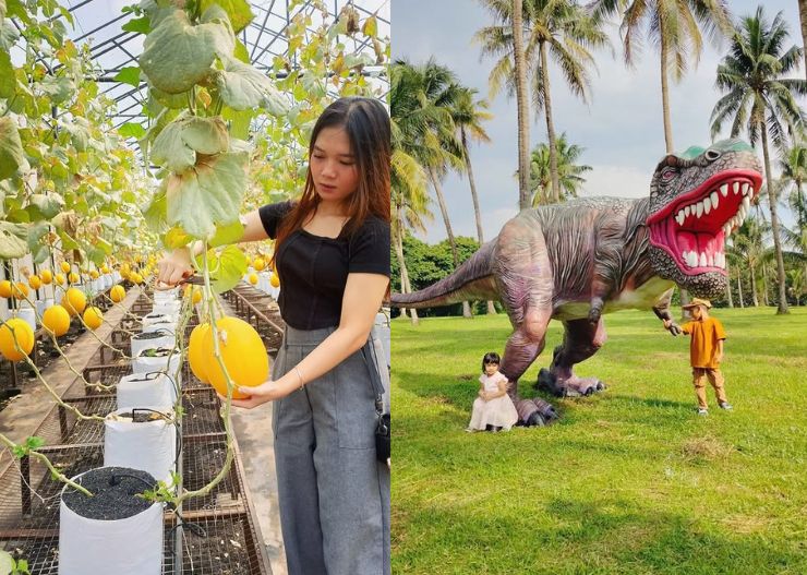 7 Tempat Wisata di Bogor yang Murah dan Hits, 100% Worth It! 12 taman buah mekarsari