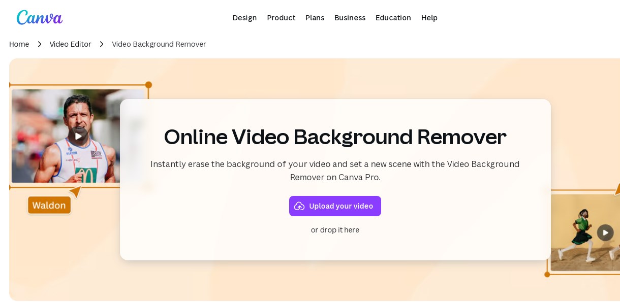 Easy To Use Free Online Video Background Remover 12 canva ai video background remover