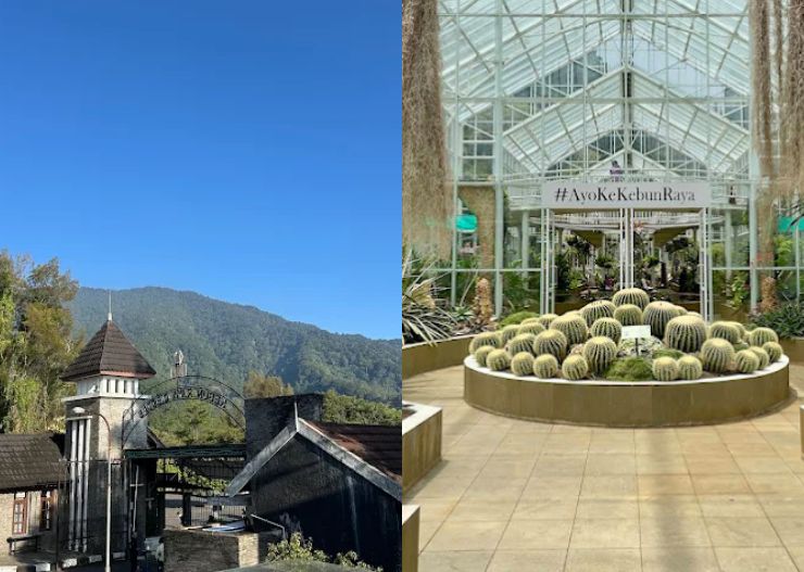7 Tempat Wisata di Cianjur yang Lagi Hits dan Wajib Dikunjungi 8 kebun raya cibodas