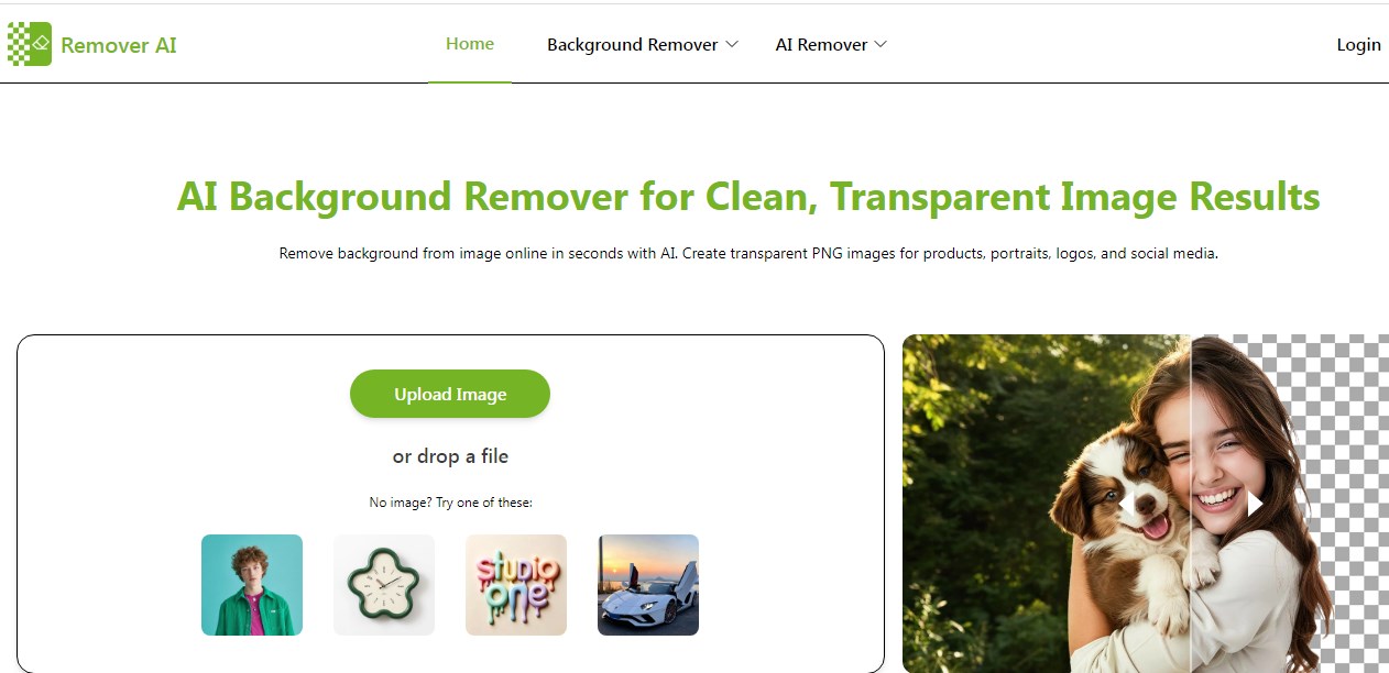 Easy To Use Free Online Video Background Remover 9 remover ai
