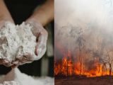 Mitos vs Fakta: Benarkah Tepung Bisa Memadamkan Api?