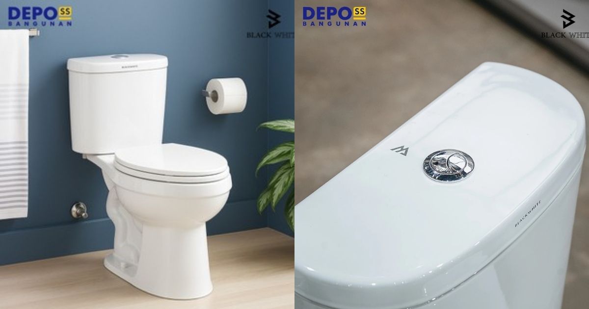 Inspirasi Model Kloset Kamar Mandi Minimalis yang Estetik dan Nyaman 10 hipwee-Kloset Duoblok