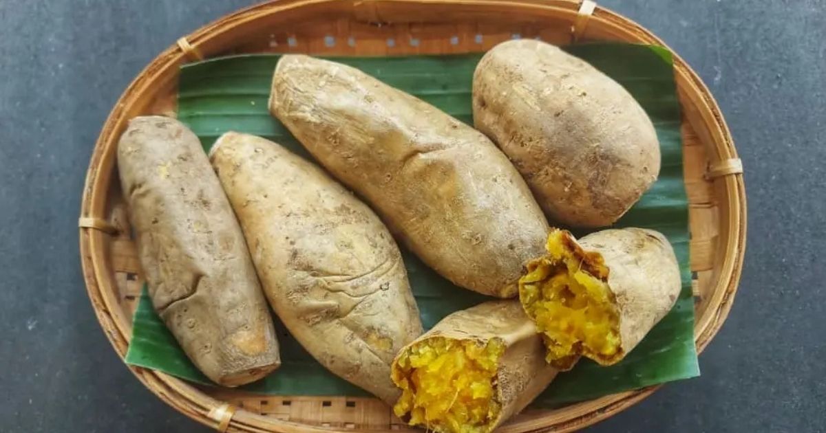 Bukan Cuma Nasi, Ini 12 Umbi Selain Kimpul yang Kaya Nutrisi! 23 hipwee-Ubi Cilembu