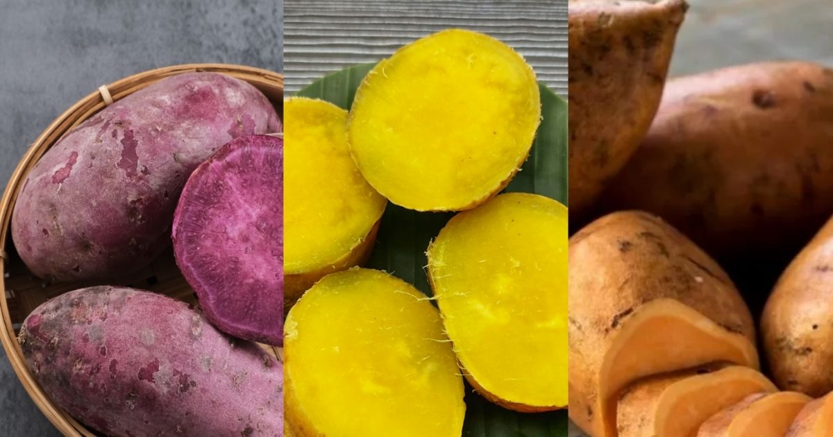 Bukan Cuma Nasi, Ini 12 Umbi Selain Kimpul yang Kaya Nutrisi! 22 hipwee-Ubi Jalar