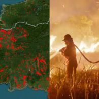 Jujur Janggal, Kebakaran Hutan di Indonesia Cuma karena Musim Kemarau?