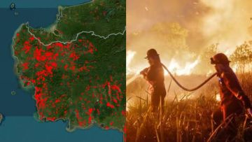 Jujur Janggal, Kebakaran Hutan di Indonesia Cuma karena Musim Kemarau?