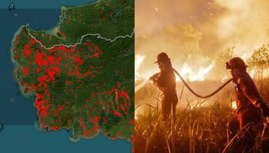 Jujur Janggal, Kebakaran Hutan di Indonesia Cuma karena Musim Kemarau?
