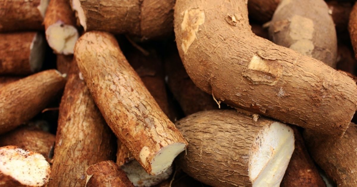 Bukan Cuma Nasi, Ini 12 Umbi Selain Kimpul yang Kaya Nutrisi! 24 hipwee-singkong