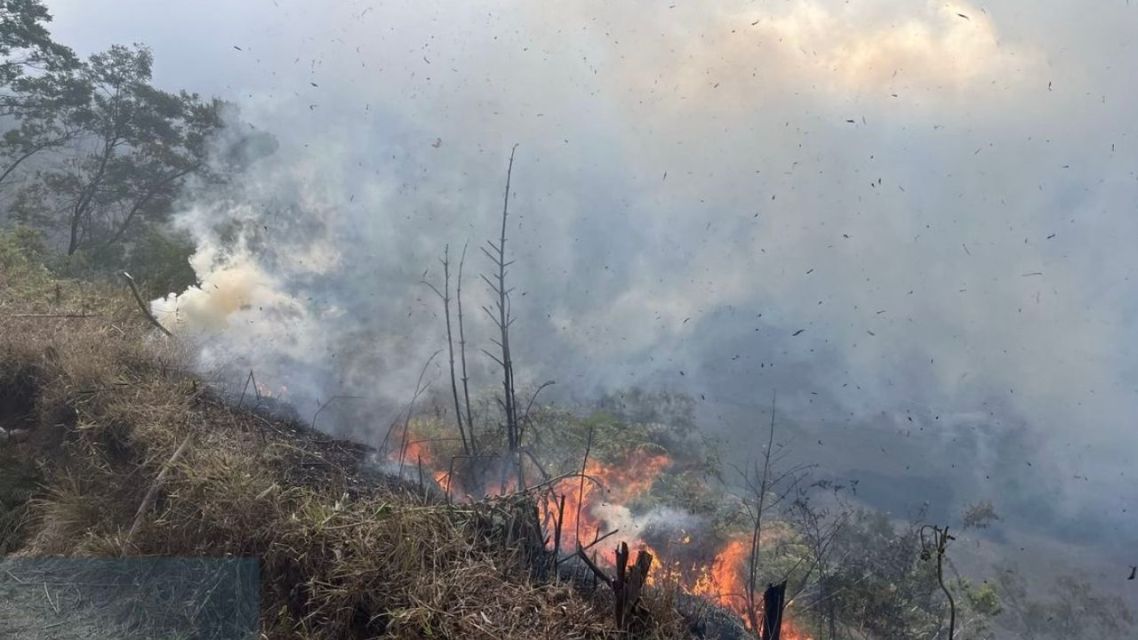 Mau Liburan ke Bromo? Cek Dulu Jalur yang Ditutup Akibat Kebakaran Hutan 7 Api mulai mendekati kawasan Savana Bromo