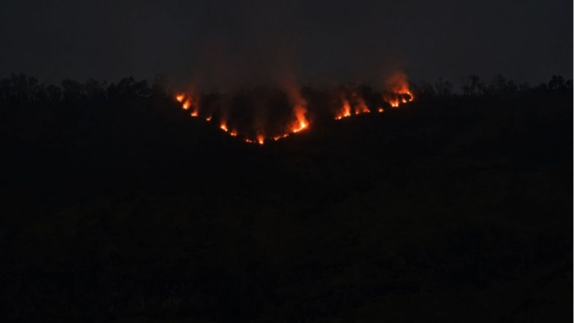 Mau Liburan ke Bromo? Cek Dulu Jalur yang Ditutup Akibat Kebakaran Hutan 8 Kebakaran kawasan hutan bromo meluas