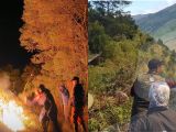 Mau Liburan ke Bromo? Cek Dulu Jalur yang Ditutup Akibat Kebakaran Hutan