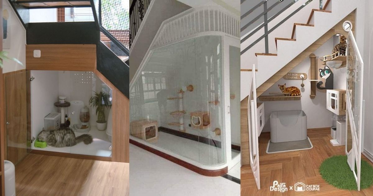 hipwee-Cat Room Memanfaatkan Area Bawah Tangga
