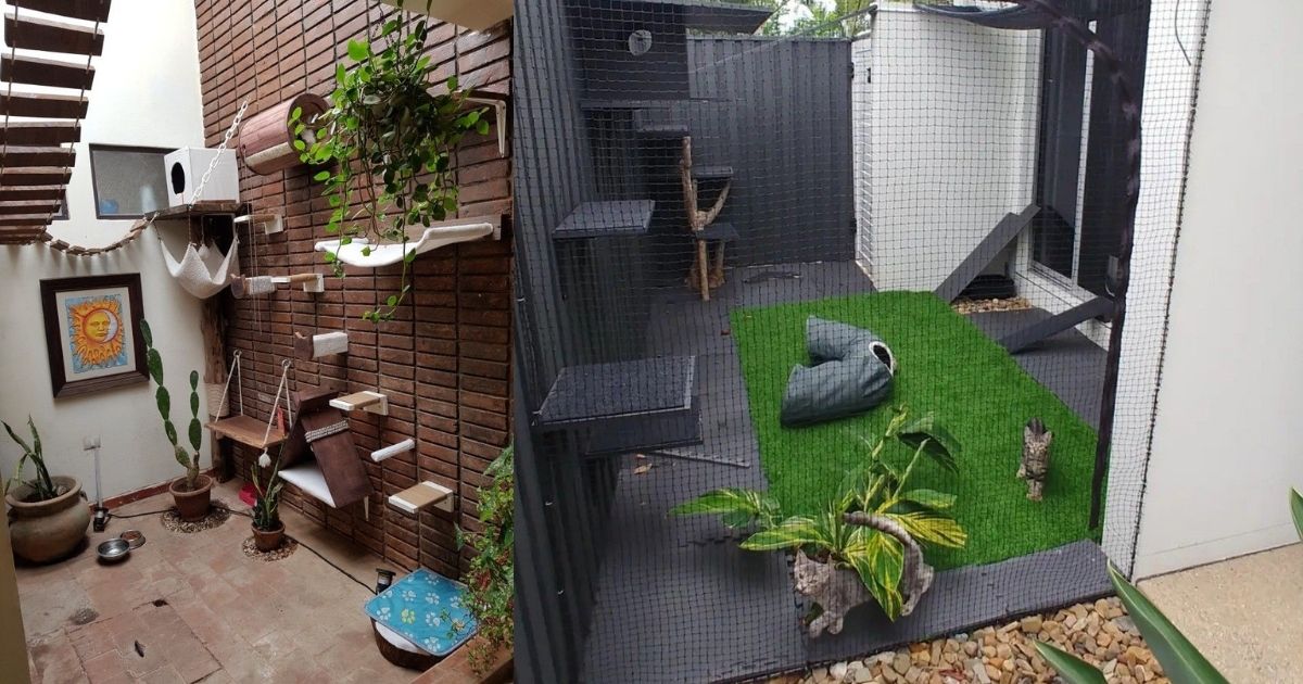 Super Cantik, 7 Ide Cat Room Design di Ruangan Sempit yang Nyaman 14 hipwee-Cat Room Memanfaatkan Taman Indoor Semi-Outdoor