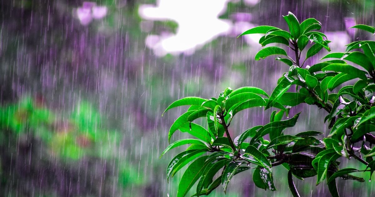 6 Doa Minta Hujan yang Berkah, Amalkan Saat Hadapi Kemarau Panjang 9 hipwee-Doa Minta Hujan Turun yang Menyuburkan dan Bermanfaat
