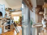 Super Cantik, 7 Ide Cat Room Design di Ruangan Sempit yang Nyaman