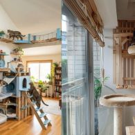 Super Cantik, 7 Ide Cat Room Design di Ruangan Sempit yang Nyaman