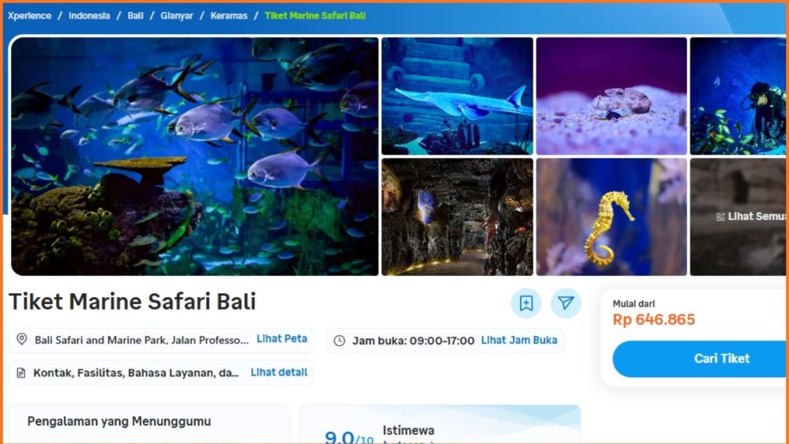 Wisata Satwa Terbaik di Asia, Mana yang Paling Berkesan untuk Anak? 6