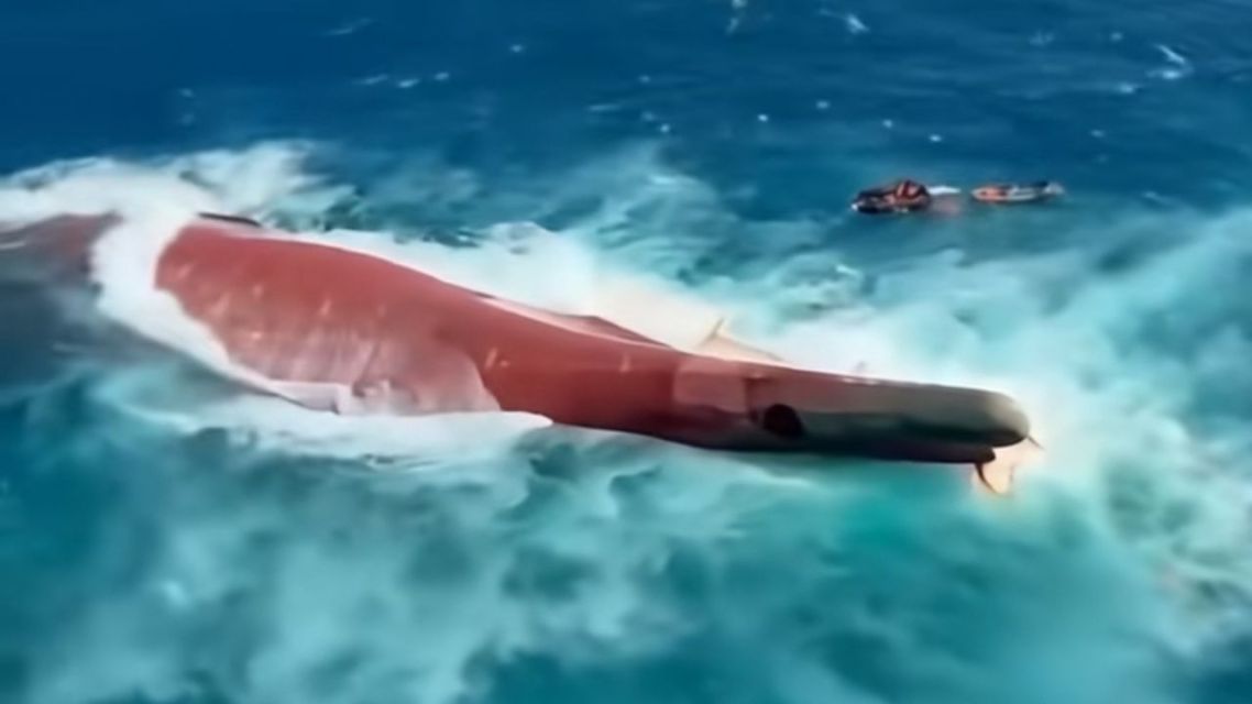 KM Virgo Transport 8 Terbalik, Ini Kronologi dan Update Pencarian Korban 9 KM Virgo Transport 8 bergeser 1,6 mil laut