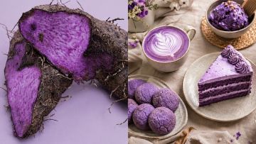 Tren Dessert Ungu Kekinian, Kenali Apa Itu Ube yang Beda dari Ubi Biasa!