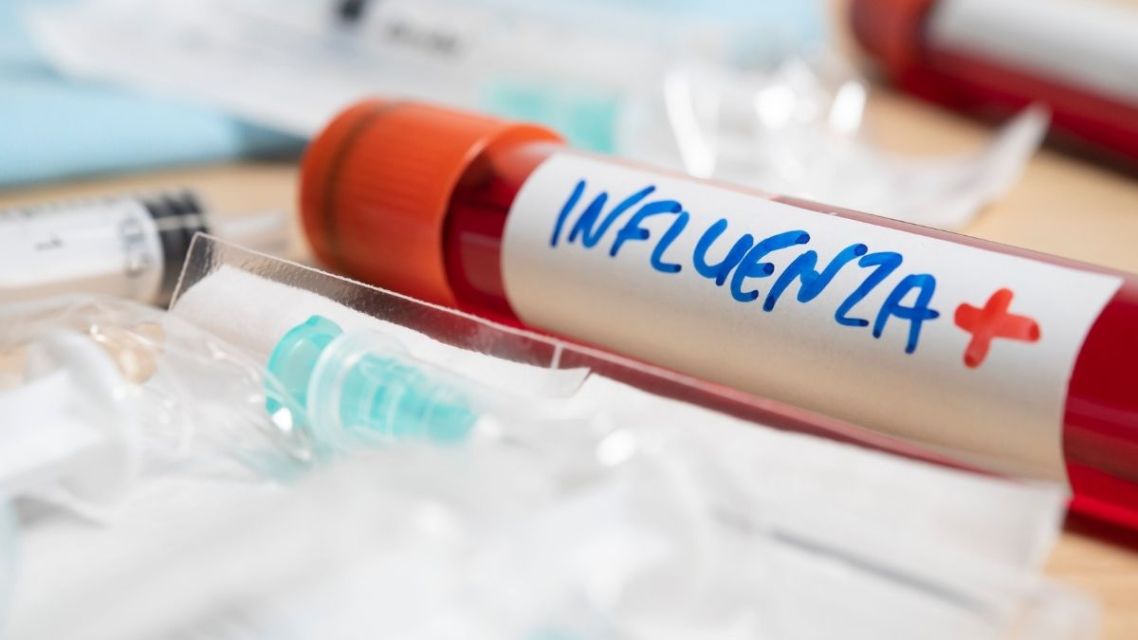 4 Contoh Teks MC Upacara Hari Sumpah Pemuda Singkat 7 Ilustrasi perbedaan virus influenza A dan influenza B