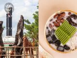 5 Hal Menarik yang Bisa Dilakukan di Pontianak Sebelum Kembali ke Jakarta