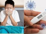 Kemenkes Catat Positivity Rate 56%, Ini Gejala Influenza A dan Cara Membedakannya dari Flu Biasa
